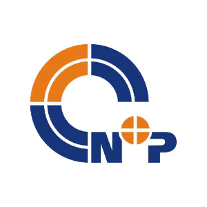 N+P Information Systems, LLC